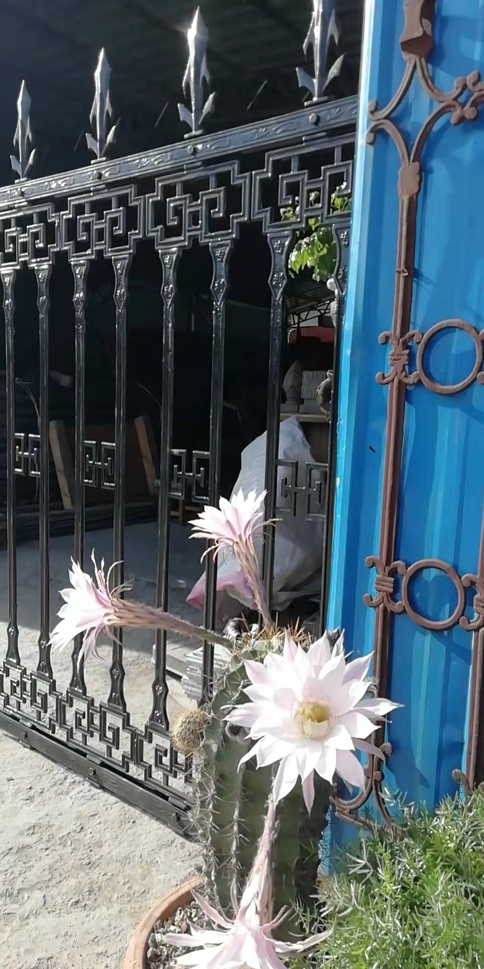 微信图片_20220117163337